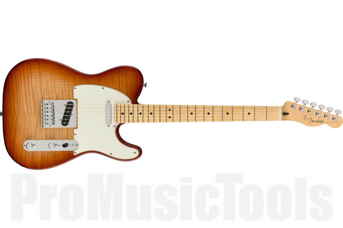 Fender Player Telecaster Plus Top MN - Sienna Sunburst Limited Edition